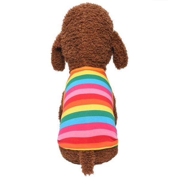 

dog apparel fashion pet clothes autumn rainbow striped cat clothing thin jacket puppy funny chihuahua 2021