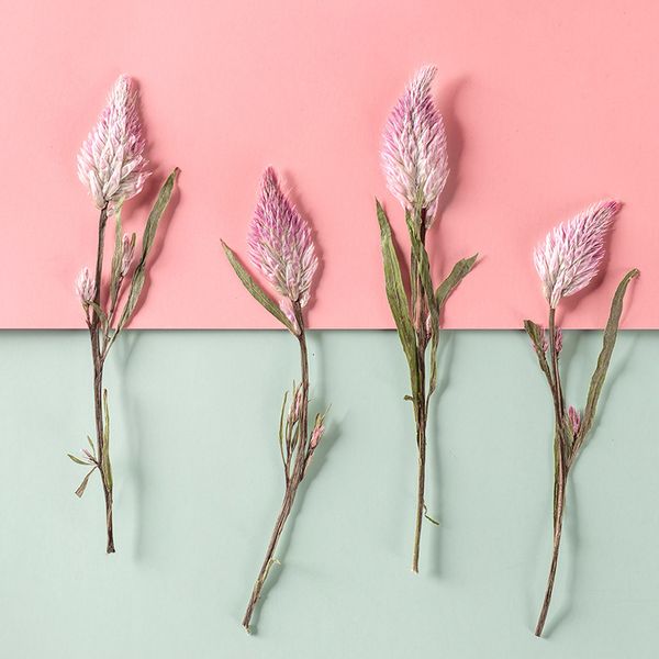 

foxtail grass net red dry flower plant specimen embossed festival gift design