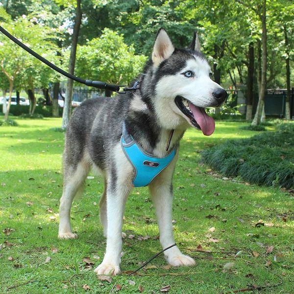 

dog collars & leashes reflective pet harness adjustable nylon no pull vest breathable collar accessories for small large dogs supplies