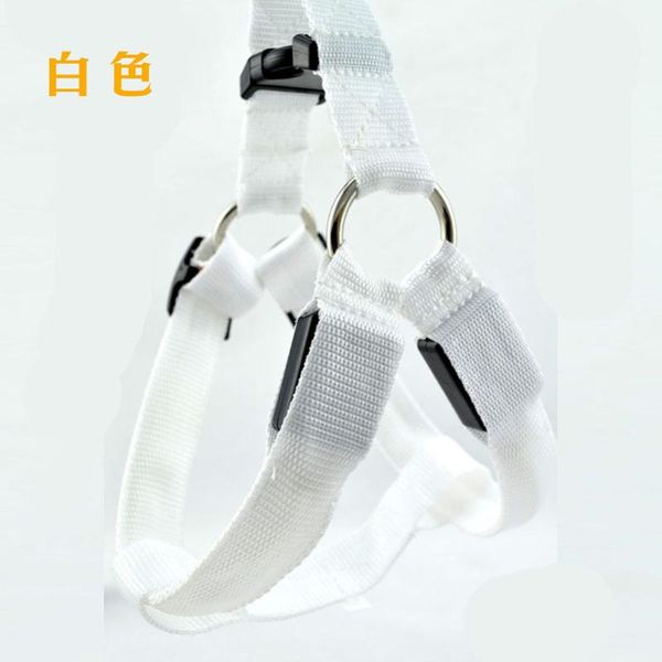 

dog collars & leashes light weight ultra thin pet products anti-missing led illumiate harnesses goods