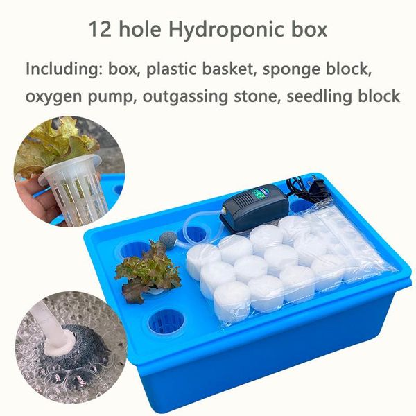 

planters & pots 12 holes indoor hydroponic system kits vegetable growth box soilless cultivation equipment field flowerpot/ air pump