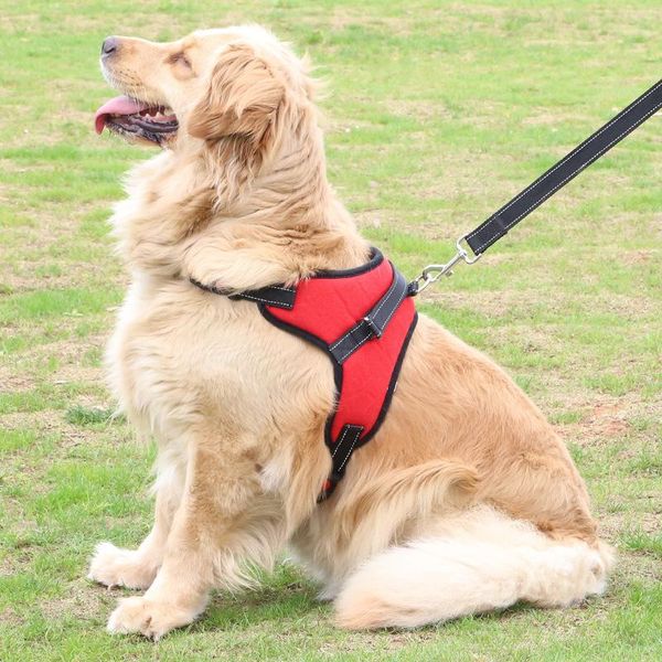 

dog collars & leashes thickened explosion-proof saddle chest back garment oxford cloth large strap pet supplies have a good quality