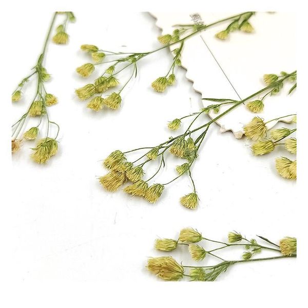 

16pcs,natural pressed eternal flowers with branches,diy wedding invitation craft gift bookmark decoration,scented candle decor qylfeu