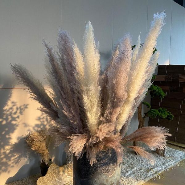 

decorative flowers & wreaths dried big large gray pampas grass decor wedding flower bunch natural plants for home christmas decorations 2021