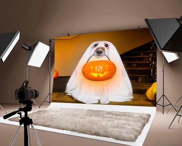 

party decoration pography backdrops pumpkin lantern printed halloween thin festival background decor backdrop pos