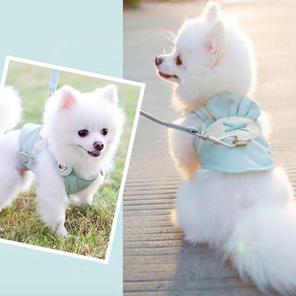 

dog collars & leashes lovely vest hand holding rope pet harness small medium-sized cat breathable leash supplies