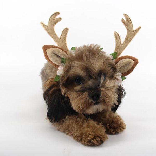 

cat costumes s/m/l christmas reindeer hat short plush silk flower for puppy kitten pets accessories holiday decoration comfortable lovely