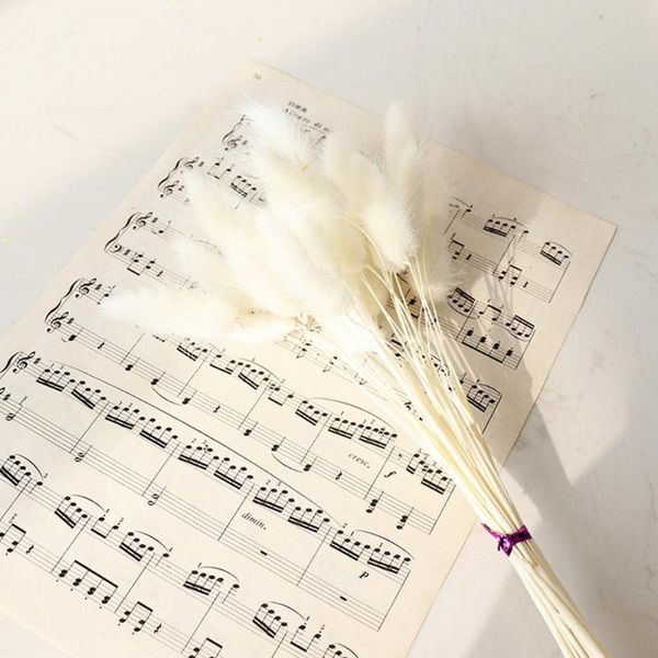 

30 pcs/lot natural dried flowers bouquets tail grass tails wedding decor