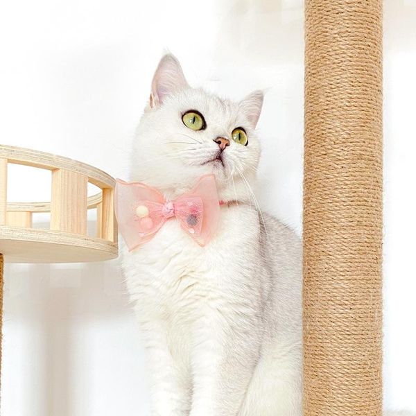 

cat collars & leads pet collar handmade lace sequin bow pearl flower fairy bowtie safety buckle small dog kitten accessories