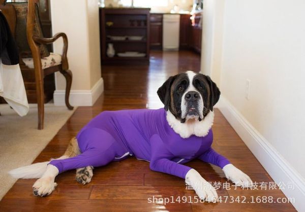 

autumn and winter dog cloth four legged small medium-sized pet