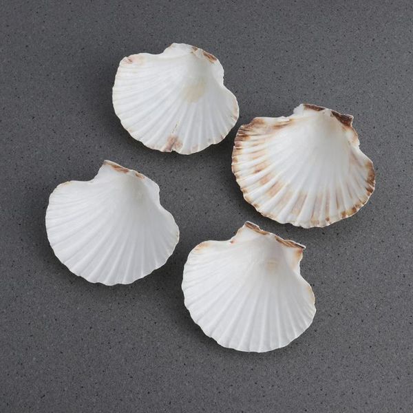 

novelty items 4pcs 9-14cm mediterranean style diy beach seashells sea natural shells shell crafts aquarium fish tank decor