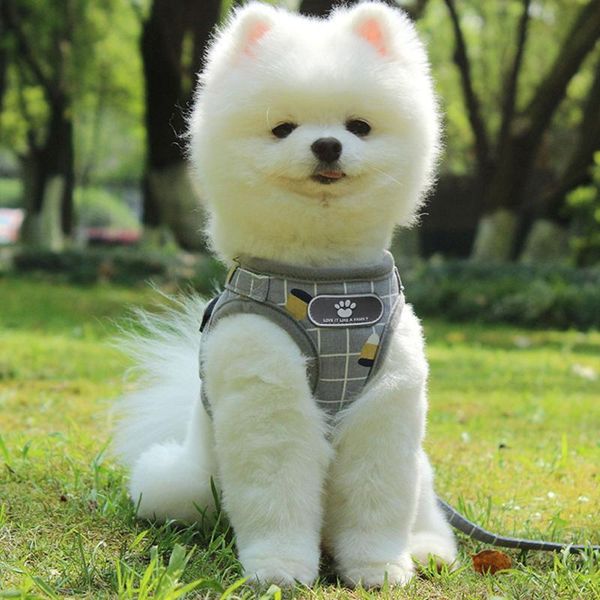 

dog collars & leashes harness and leash set breathable soft polyester mesh reflective vests puppy pet clothes accessories for small dogs