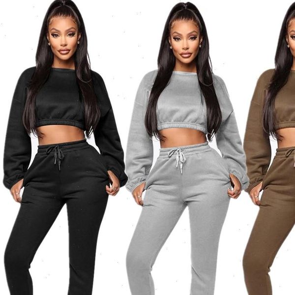 

winter thick fleece hoodies and pants two piece set women tracksuit crop trousers casual sportwear matching set, Gray