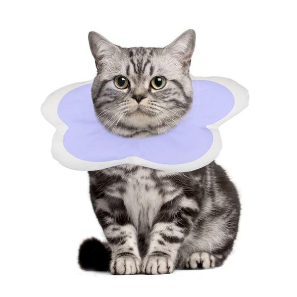 

dogs protective neck collar flowers pet protection neck cone recover collars cat waterproof elizabeth circle
