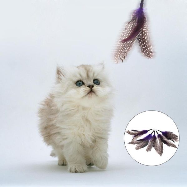 

cat toys luxury extendable pet kitten feather teaser wand rod + 7pcs colorful natural long toy set