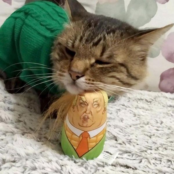 

cat toys trump head maize design stuffed plush corn kitten teaser interactive pet catnip squeaky s3d3