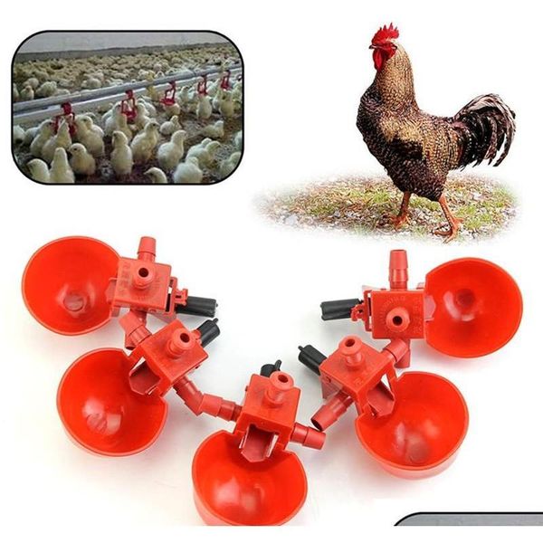 

feed matic poultry water drinking cups bird coop jllbvo garden_light