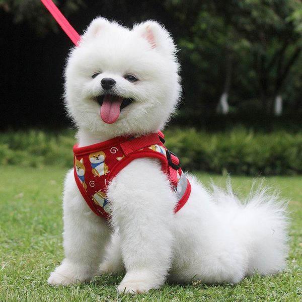 

dog collars & leashes cartoon vest type chest strap reflective pet small and medium-sized traction rope