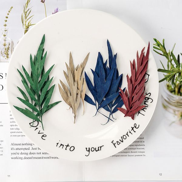 

silver birch leaf embossed plant specimen drop glue mobile phone case diy material dry flower real bride makeup festival gift design