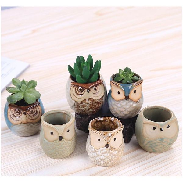 

new cartoon owl-shaped flower pot for succulents fleshy plants flowerpot ceramic small mini home/garden/off jllmwg xmh_home