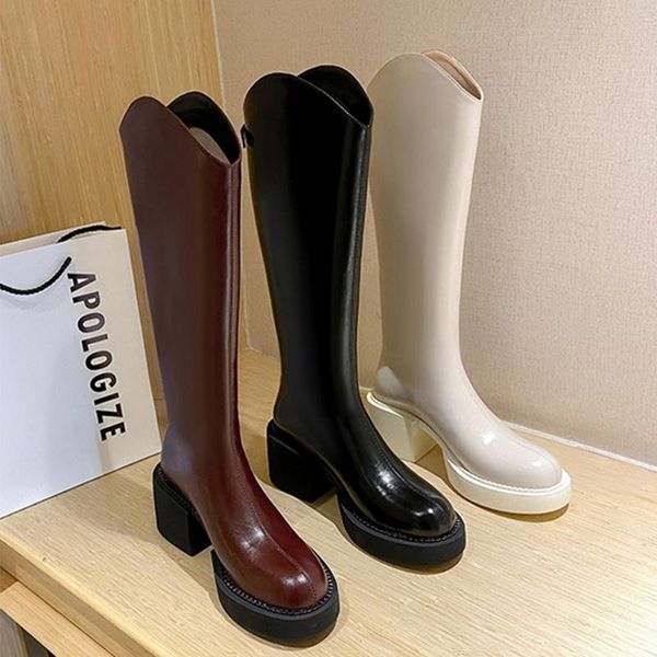 

boots 2021 autumn chunky high heels western knee women plush warm fur winter punk gothic platform shoes female long, Black