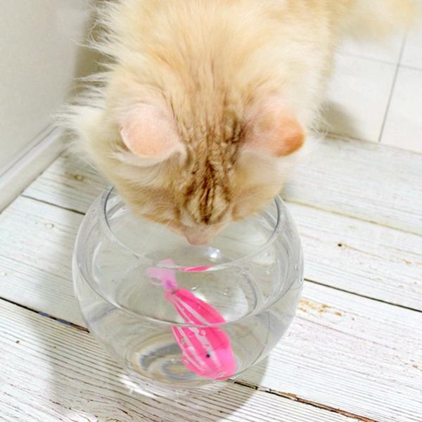 

cat toys battery-powered fish toy