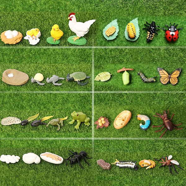 Simulation Tiere Marienkäfer, Schmetterling, Frösche, Schildkröte, Ameise, Mücke, Huhn Wachstum Lebenszyklus Figuren Modell Action Figuren Spielzeug C0220