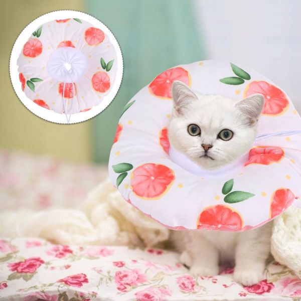 

cat collars & leads pet kitten cone anti-lick neck collar protection wound healing