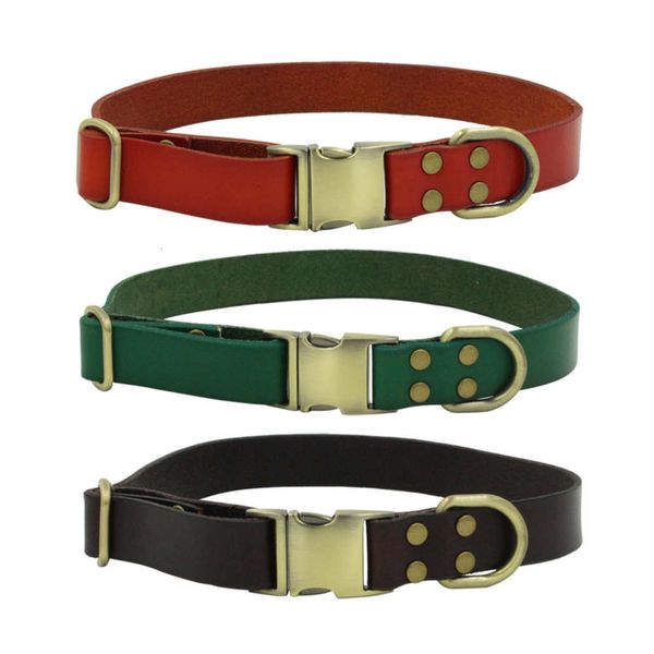 

new head leather pet can be engraved collar bronze metal buckle dog chain