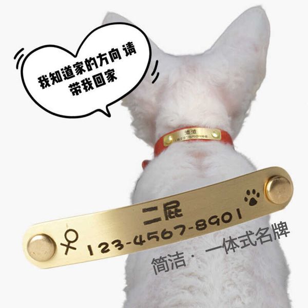 

pet cat dog all in one anti lost surname pure copper stainless steel exclusive collar available separately