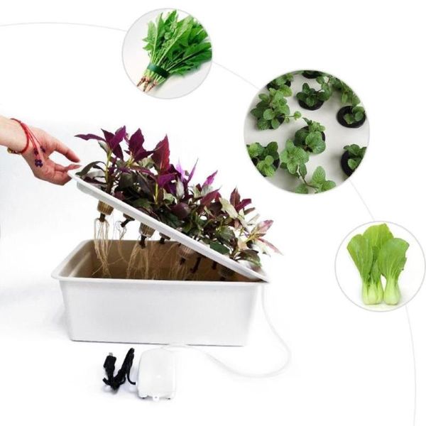 

planters & pots 6 holes 110v garden plant site hydroponic system indoor cabinet box grow kit bubble nursery