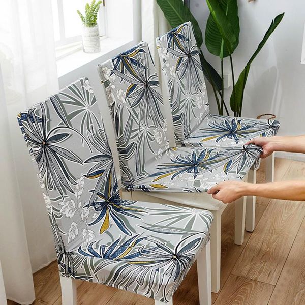 

chair covers papa&mima spandex dinner cover printing stretch restaurant seat case