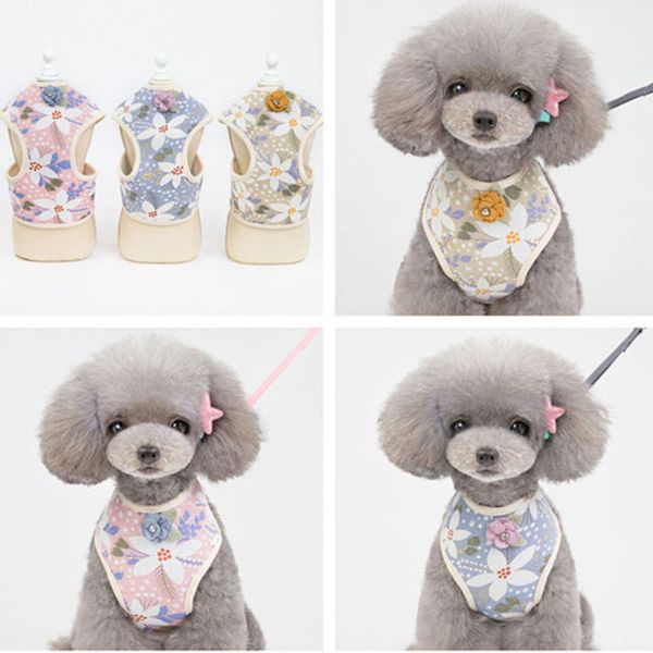 

dog spring pet cloth summer cht back five leaf flower