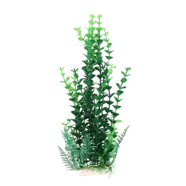 

fish tank water plant beautiful grass ornament aquarium landscape decor decorations
