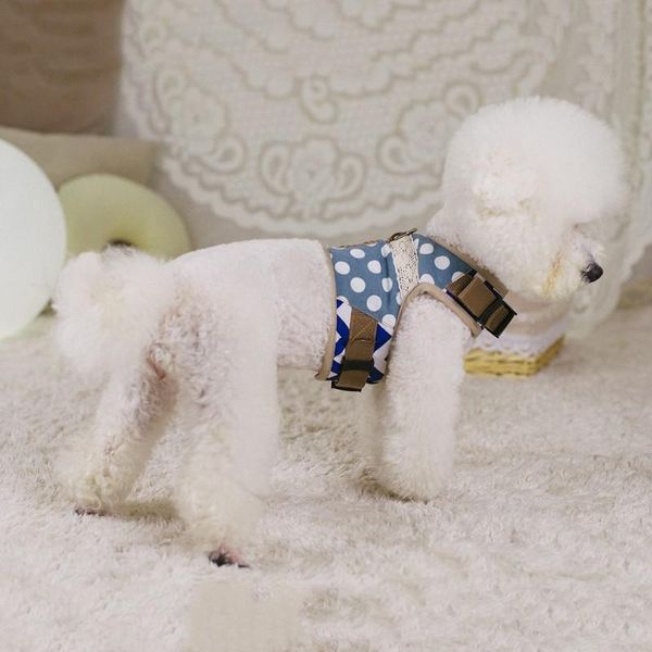 

small dog leash with pet teddy collar vip chest harness color xl collars & leashes