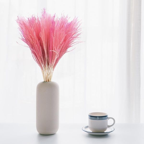 

decorative flowers & wreaths bouquet pampas grass natural dried tall fluffy stems plume plants phragmites wedding living room decor