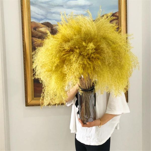 

wedding flower yellow pampas grass 30pcs natural dry bunch windowcase flowers decorative & wreaths