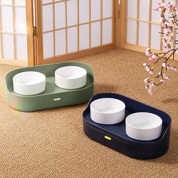 

cat bowls & feeders hoopet bowl dog double kitten with storage multilayer