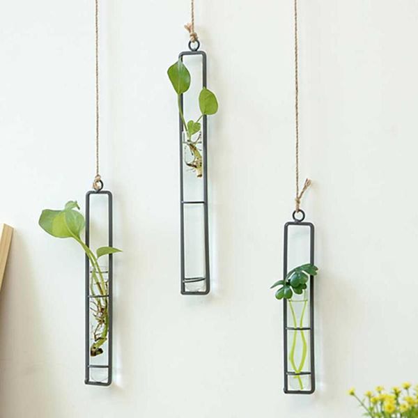 

vases wrought iron glass vase rope pendant living room wall hanging hydroponic green dill plant container decoration