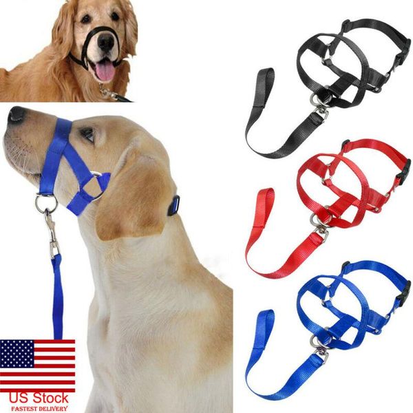 

dog collars & leashes creative halter halti training head collar gentle leader harness nylon breakaway all seasons usefull harnesses lead