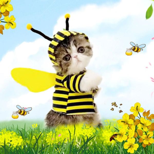 

cat costumes pet clothes cute honeybee style clothing funny costume bee wings fleece puppy hoody sweater winter small dog apparel