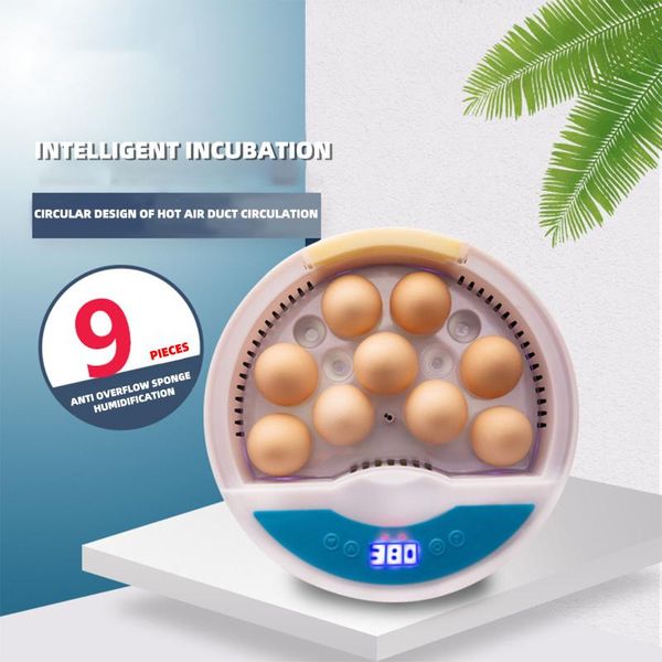 

eggs incubator egg automatic an gashapon with digital temperature home farm eu/us/uk/au plug boilers