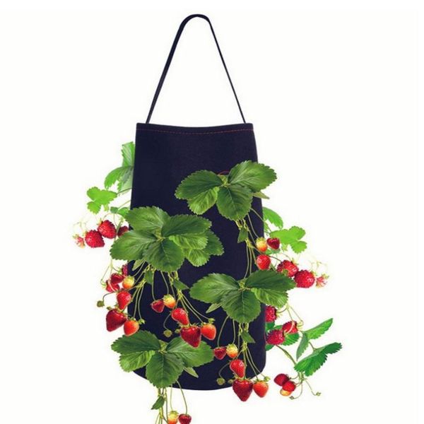 

100set 2pcs/set strawberry planting growing bag non-woven felt hanging container bags grow root bonsai garden supplies planters & pots