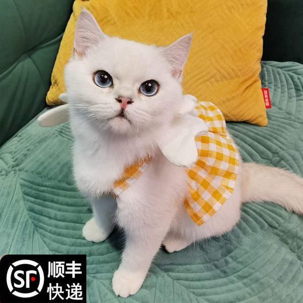 

cat cloth thin anti hair kitty puppet be cat sleevels pet products summer skirt