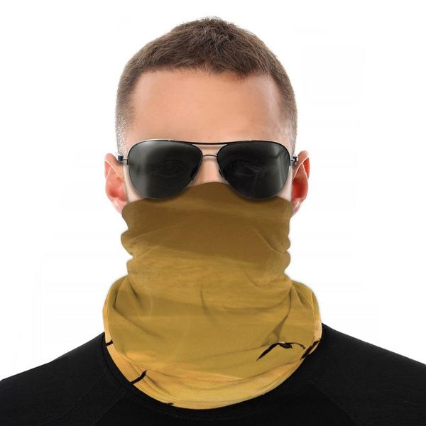 

scarves birds and sky magic scarf neck face mask men women halloween tube bandanas polyester headwear outdoor hiking, Blue;gray