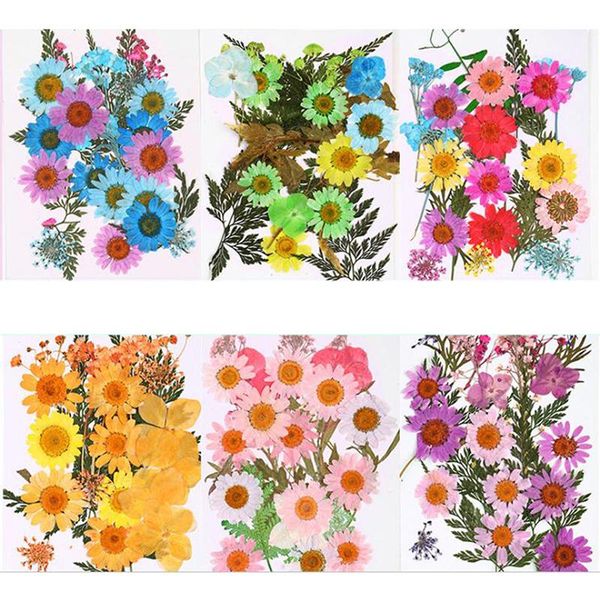 

Dried Flowers Specimen Pressed Scrapbook Bookmark Card DIY Art Craft Decor Decorative & Wreaths