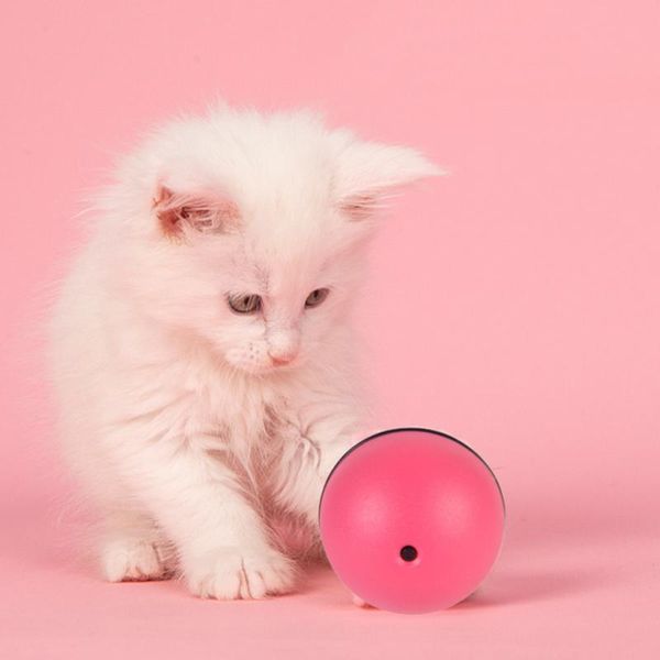 

cat toys creative interactive automatic rolling ball for dogs smart dog resistant to falling