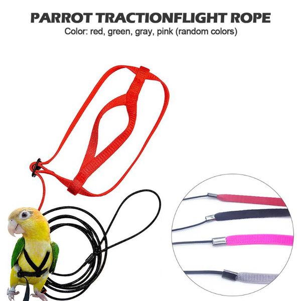

other bird supplies parrot harness and leash flying anti-bite traction rope training outdoor carrying for scarlet macaw parrots birds