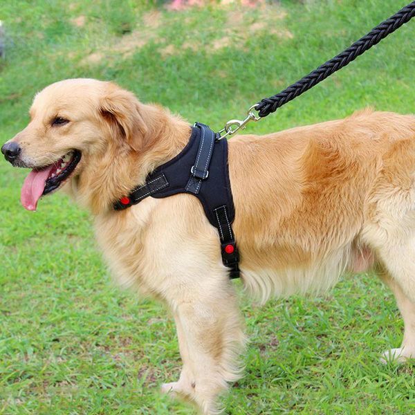 

dog collars & leashes nylon heavy pet harness collar padded extra big large medium small harnesses vest hand strap supplies with rope