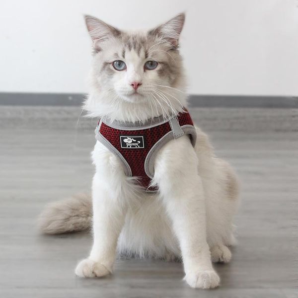 

cat collars & leads reflective pet vest harness and leash set honeycomb breathable puppy harnesses katten gota mascotas accessories for cats